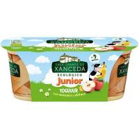 Yogur sabor manzana-plátano ecológico C.G. XANCEDA, pack 2x125 g