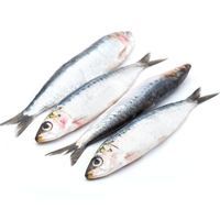 Alacha, al peso, compra mínima 500 g