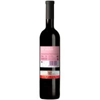 Vino Tinto Mencia Ribeira Sacra RECTORAL AMANDI, botella 75 cl