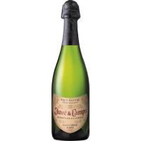 Cava Brut Nature Gran Reserva JUVE Y CAMPS, botella 75 cl