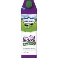 Leche desnatada 0% sin lactosa M. G. ASTURIANA, brik 1 litro