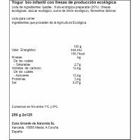 Yogur junior eco sabor fresa CASA GRAN XANCEDA, pack 2x125 g
