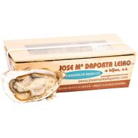 Ostra rugosa, caja 12 piezas