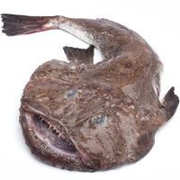Rape negro, pieza al peso aprox. 2 kg