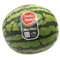 Sandia mini, pieza al peso aprox. 1 kg