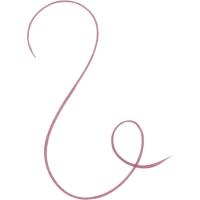 Perfilador de labios larga duración Tattoo 03 ESSENCE, 1 ud