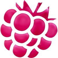 Tinte para labios y mejillas 10 Raspberry Vibes ESSENCE, 1 ud