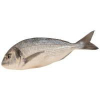 Dorada, pieza al peso aprox. 350 g