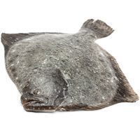Rodaballo, pieza al peso aprox. 2.2 kg