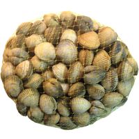 Berberecho, al peso, compra mínima 250 g